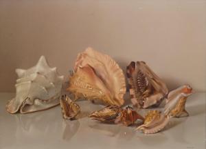 CAMPUZANO Enrique 1948,Still life of Conch shells,1988,Rosebery's GB 2016-12-06