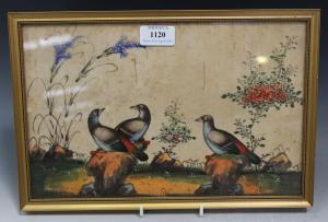 CANTON Frans Thomas 1671-1734,Study of two birds,Tooveys Auction GB 2016-04-20