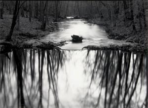 CAPONIGRO Paul 1932,Reflecting Stream, Redding, Connecticut,1968,Skinner US 2024-01-31