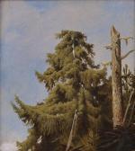 CAPPELEN August 1827-1852,Sketch of a tree,Grev Wedels NO 2011-11-28