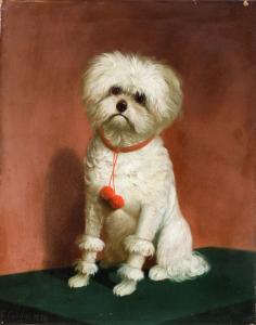 CARLINI Giulio 1830-1887,Ritratto di cane,1856,Cambi IT 2024-03-28