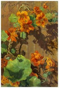 carlocarra',Composizione floreale 1905,1905,Saletta d'arte Viviani IT 2008-10-04