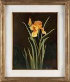 CARLSON Jane 1930,Yellow iris,Eldred's US 2024-03-13