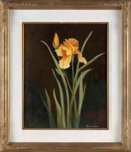 CARLSON Jane 1930,Yellow iris,Eldred's US 2024-03-13