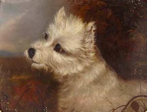 CARON LANGLOIS Pauline 1825,Study of a white long haired Terrier,Greenslade Hunt GB 2007-04-12
