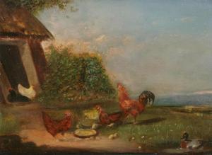 CARPENTERO L,Rooster and chickens near the barn,Bernaerts BE 2010-06-21