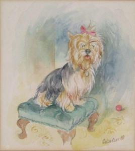 CARR Colin 1929-2002,Yorkshire Terrier,1980,John Taylors GB 2022-02-01