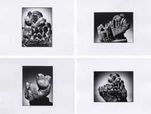 CARRIERI Mario 1932,Sedici sculture di Gino Cosentino fotografate da M,1989,Art - Rite IT 2023-12-12