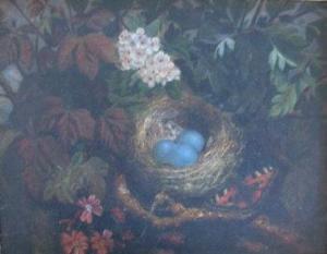 CARTER M.,Still life of a birds nest,Morphets GB 2009-06-04