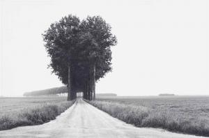 CARTIER BRESSON Henri 1908-2004,La Plaine de la Brie,1968,Christie's GB 2016-10-05