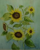 carver peggy 1900-1900,Study of Sunflowers,Dickins GB 2007-06-16