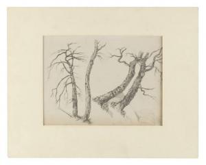 CASILEAR John William 1811-1893,Study of trees,Eldred's US 2021-11-19