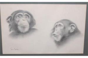 CASSON Sue 1900-1900,Chimpanzees,Lacy Scott & Knight GB 2015-12-05