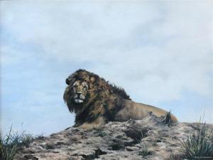 CASSON Sue 1900-1900,Lion, Kenya,Cheffins GB 2014-03-05