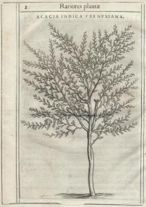 castelli Pietro,Exactissima descriptio rariorum quarundam plantaru,Bonhams GB 2014-11-12