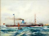CASTLE H.F,Ship portrait,Capes Dunn GB 2017-04-25