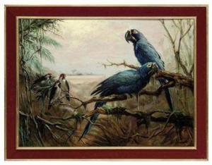 CATALDI Renato 1900-1900,Black throated Cardinals and Hyacinthine Macaws,Christie's GB 2010-10-26