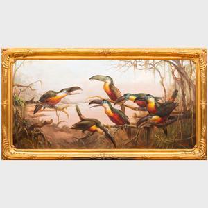 CATALDI Renato 1900-1900,Toucanos de bico preto,1962,Stair Galleries US 2022-01-27