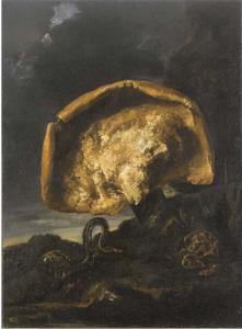 CATTAMARA Paolo 1600-1700,Un fungo, una biscia, un rospo e una farfalla,Christie's GB 2006-11-29
