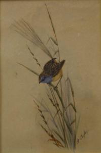 CAYLEY Alice 1800-1900,A Set of Four Watercolours Depicting Birds,1900,Bonhams & Goodman 2009-03-22