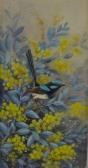 CAYLEY Jnr. Neville William 1886-1950,A splendid blue wren in wattle blossom,Mossgreen AU 2010-08-30