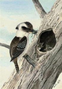 CAYLEY Neville Henry P. 1853-1903,A Kookaburra feeding a frog to its young,Christie's GB 2010-09-23