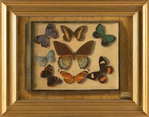 CERNY Charles 1892-1965,Trompe-l\’oeil of a butterfly specimen diorama han,Eldred's US 2023-02-03