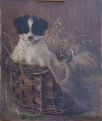 CHADWICK ILMA,Collie puppy in a basket,1896,David Lay GB 2012-04-12