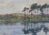 CHAMPION JONES Douglas,landscape, with fir trees lini,1920,Batemans Auctioneers & Valuers 2020-03-07