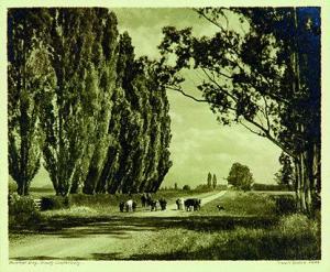 CHANCE George 1885-1963,Summer Days, South Canterbury,Art + Object NZ 2012-02-29