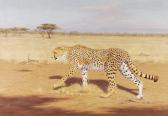 CHAPPELL Alan,Cheetah,Dreweatt-Neate GB 2013-04-24
