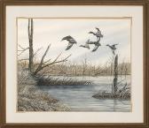CHAPPUIES MARTIN,Ducks in flight over a marsh,Eldred's US 2014-06-07