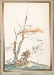 CHARLES SANTOIRE DE VARENNE 1763-1834,Etude de troncs d'arbres,Millon & Associés FR 2013-12-17
