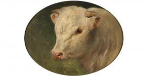 CHARLTON George John 1899-1979,A prize white bull,1916,Mallams GB 2021-03-10