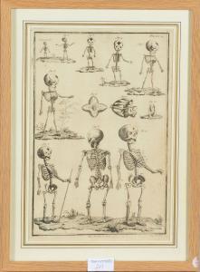 CHARPENTIER François Philippe 1734-1817,squelettes d'enfants,De Maigret FR 2022-05-19