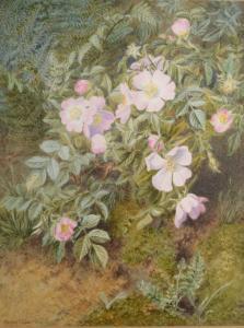 CHASE Marian Emma 1844-1905,Wild Roses,1878,David Lay GB 2017-10-26
