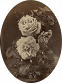 CHAUVIGNÉ Eugène 1837-1894,Étude de rose,1865,Baron Ribeyre & Associés FR 2017-06-13