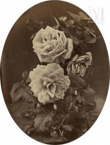 CHAUVIGNÉ Eugène 1837-1894,Étude de rose, et bouquet de fleurs et coquillage,1865,Millon & Associés 2021-06-02