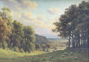 CHEADLE Henry 1852-1910,Sheep Grazing in a Woodland Pasture,David Duggleby Limited GB 2024-03-15