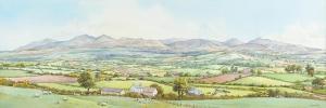 CHENEY Beth,TOWARDS THE MOURNES,Ross's Auctioneers and values IE 2014-05-07