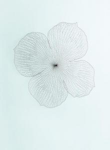 CHEONG Kwang Ho 1959,The Leaf,2008,Seoul Auction KR 2010-04-17