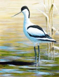 CHESTER Mark 1960,Avocet,Keys GB 2012-12-14