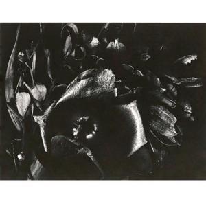 CHIARENZA Carl 1935,Dried Flowers,1962,William Doyle US 2009-10-28