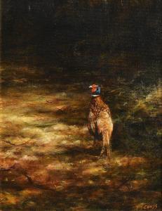 CHILDS Philip S.,Pheasant in the Woodland,Morgan O'Driscoll IE 2020-11-02