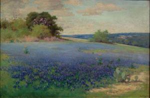 CHILTON Alice,Texas Bluebonnets,Skinner US 2005-11-18