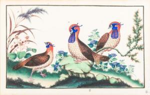 CHINESE SCHOOL,Exotic Birds Amongst Flowers,19th century,Rowley Fine Art Auctioneers GB 2019-06-01