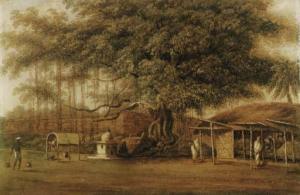 CHINNERY George 1774-1852,A Banyan tree with a watercarrier in the foregroun,Christie's 1999-10-05