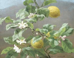CHRISTENSEN Anthonie 1849-1926,A blooming lemontree,1872,Bruun Rasmussen DK 2024-03-11