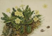 Churchyard Emma 1800-1800,Primroses on a bank,1870,Sotheby's GB 2007-10-25