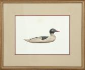 CIBULA JOSEPH 1946,An American merganser decoy,Eldred's US 2016-02-27